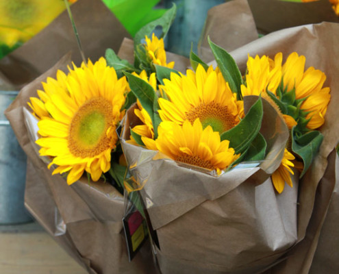 Marda Loop flower shop, sunflowers